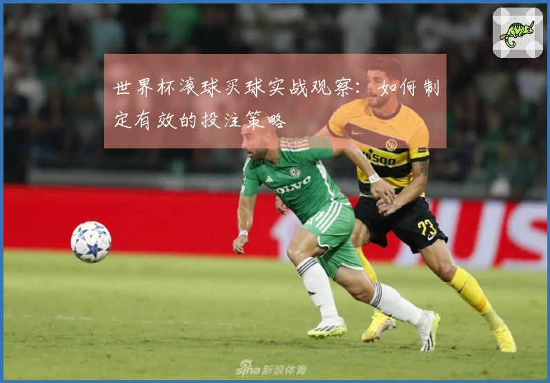 世界杯滚球买球实战观察：如何制定有效的投注策略