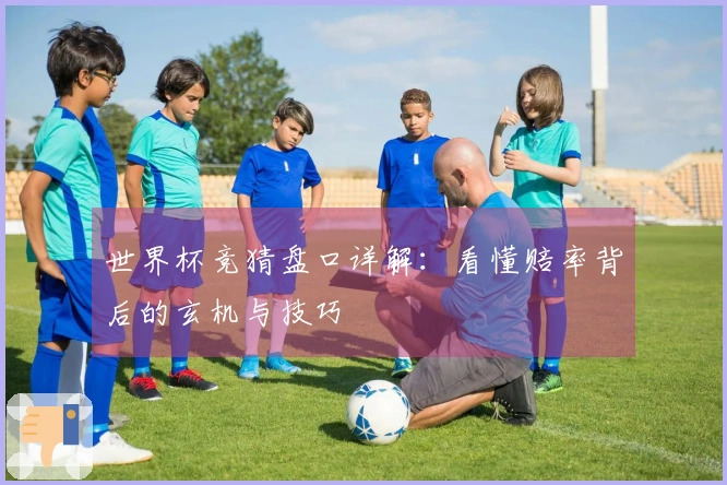 世界杯竞猜盘口详解：看懂赔率背后的玄机与技巧