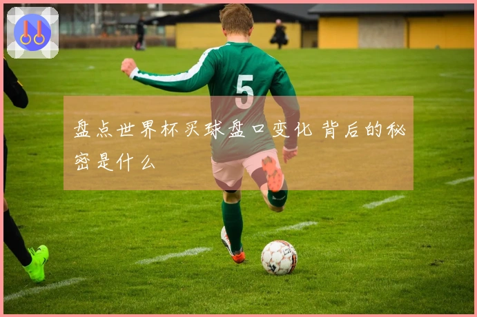 盘点世界杯买球盘口变化 背后的秘密是什么